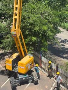 WhatsApp Image 2026-02-13 at 18.13.19